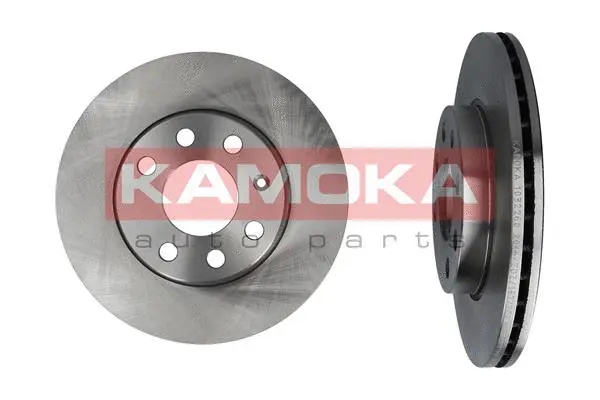 Brake Disc (1032260)