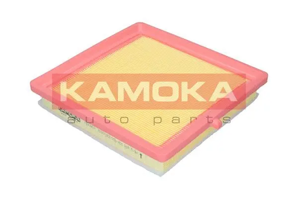 Air Filter (F243901)