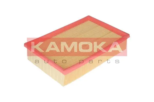 Air Filter (F203601)