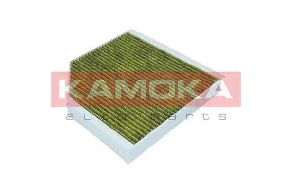 Filter, cabin air (6080066)
