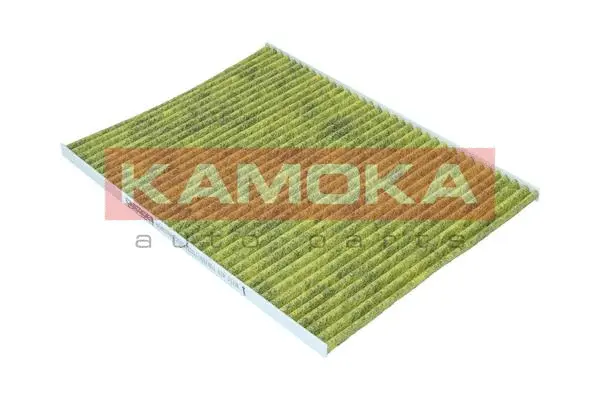 Filter, cabin air (6080168)