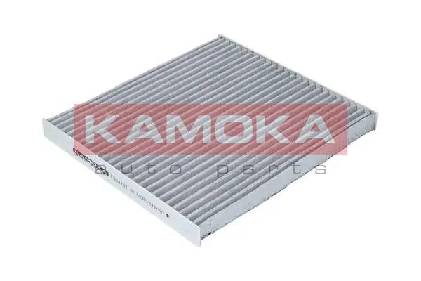 Filter, cabin air (F504101)