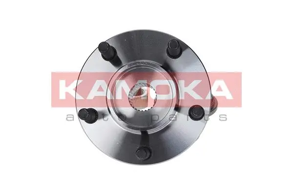 Wheel Bearing Kit (5500056)