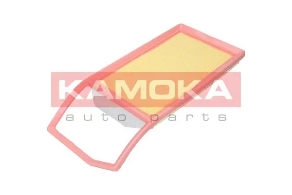 Air Filter (F244301)