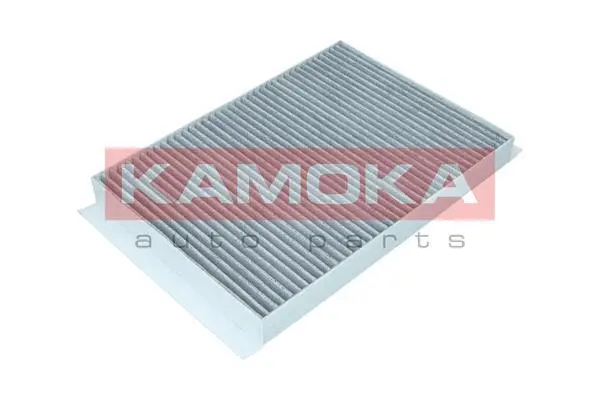 Filter, cabin air (F513501)