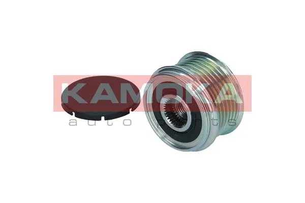Alternator Freewheel Clutch