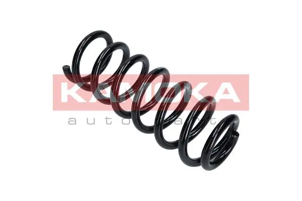 Suspension Spring (2120203)