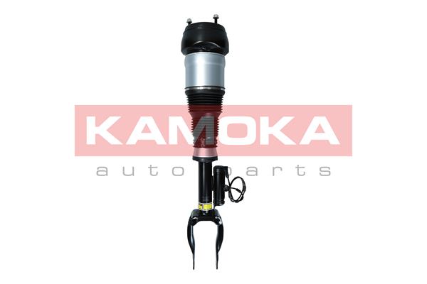 Air Suspension Strut (2070004)