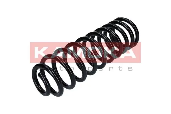 Suspension Spring (2120247)
