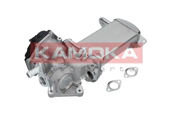 EGR Module