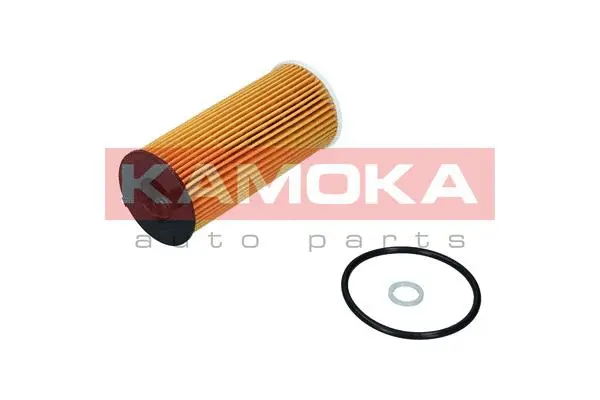 Oil Filter (F120301)