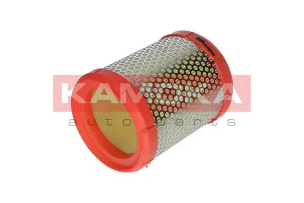 Air Filter (F204501)