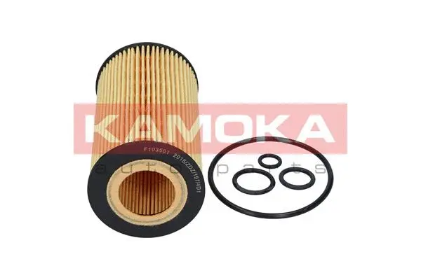 Oil Filter (F103501)