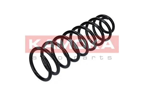 Suspension Spring (2120079)