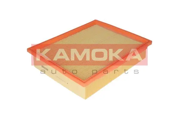 Air Filter (F209901)