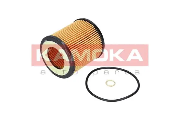 Oil Filter (F109701)