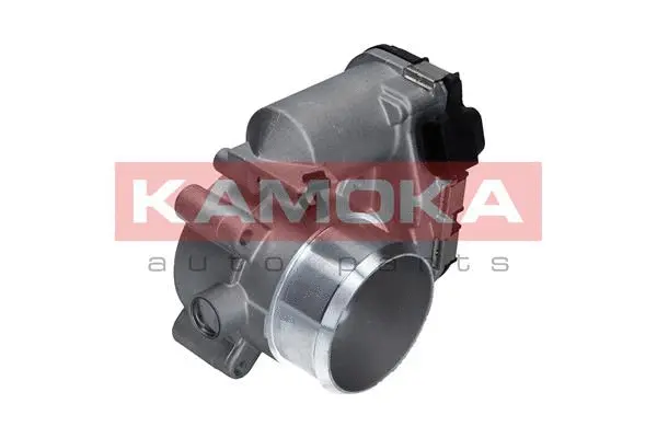 Throttle Body (112036)