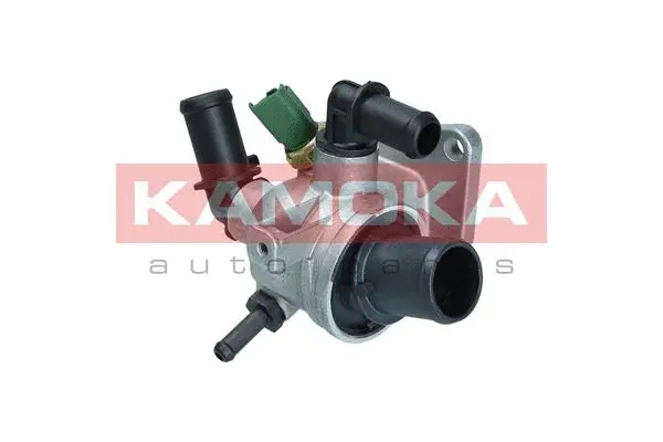 Thermostat, coolant