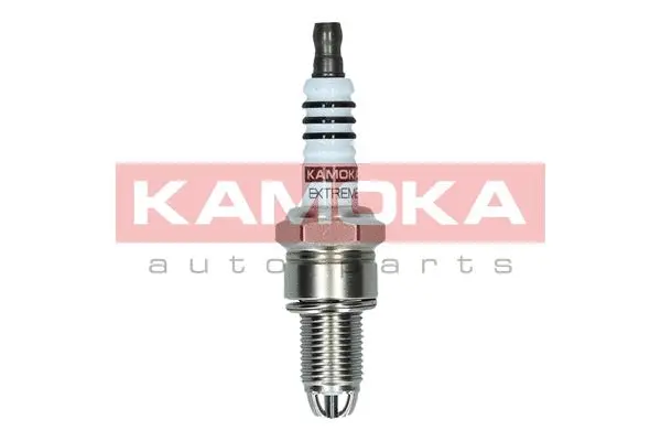 Spark Plug (7100512)