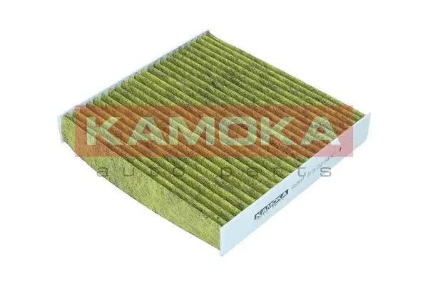 Filter, cabin air (6080097)
