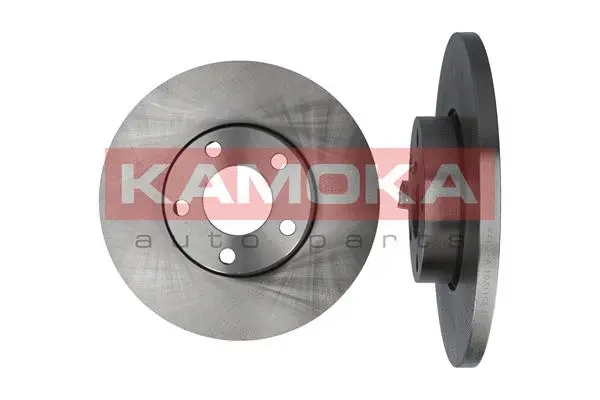 Brake Disc (1031103)