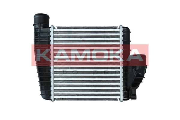 Charge Air Cooler (7750018)