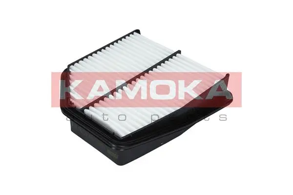 Air Filter (F232501)