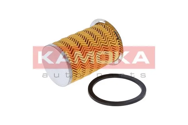 Fuel Filter (F307201)