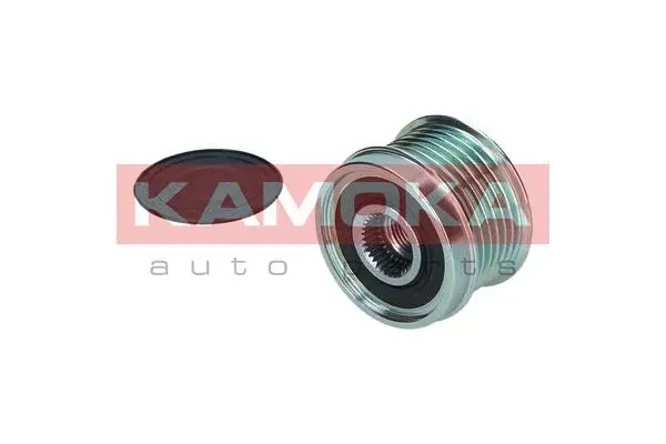 Alternator Freewheel Clutch