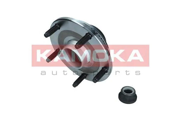 Wheel Bearing Kit (5500253)