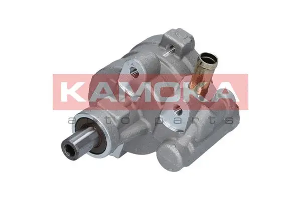 Hydraulic Pump, steering (PP172)