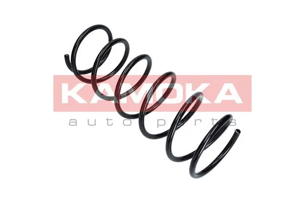 Suspension Spring (2110053)