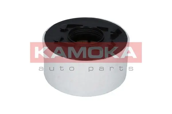 Air Filter (F214901)