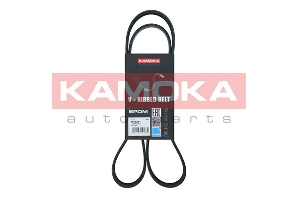 V-Ribbed Belt (7016091)