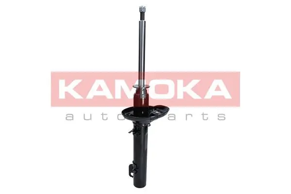 Shock Absorber (2000222)