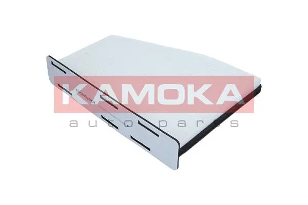 Filter, cabin air (F401601)