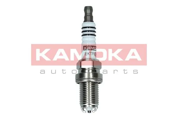 Spark Plug (7100505)