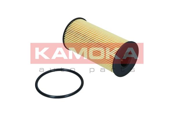 Oil Filter (F121301)