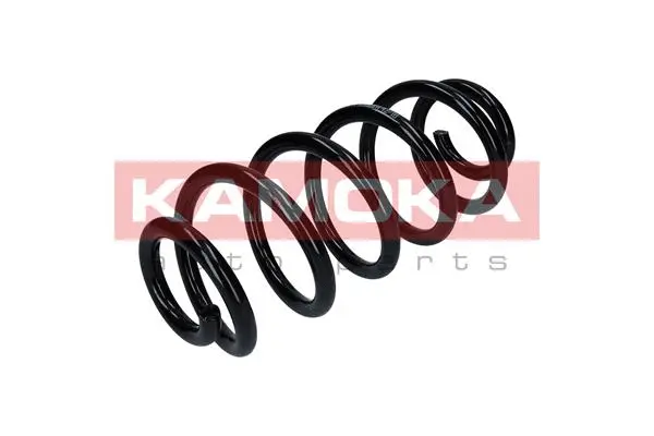 Suspension Spring (2110297)