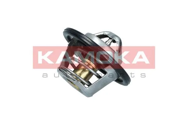 Thermostat, coolant (7710078)