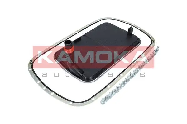 Hydraulic Filter Kit, automatic transmission (F603501)