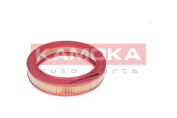Air Filter (F208301)