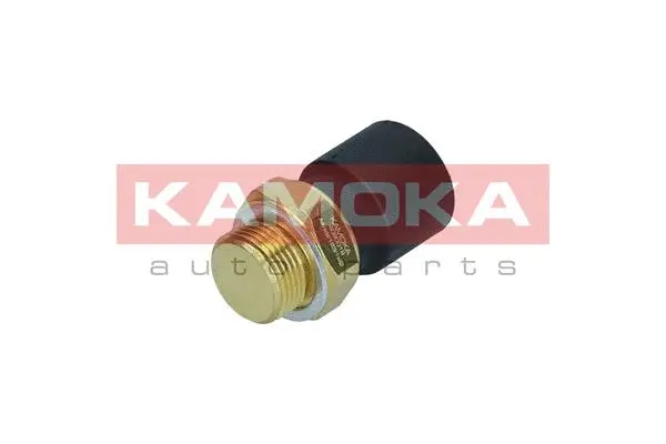 Temperature Switch, radiator fan (4090019)