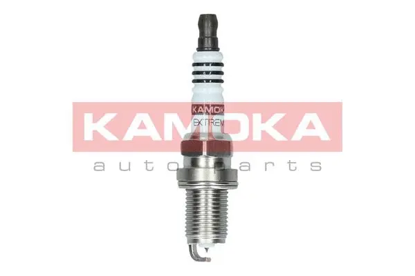 Spark Plug (7100034)