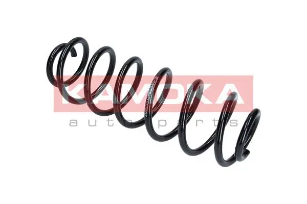 Suspension Spring