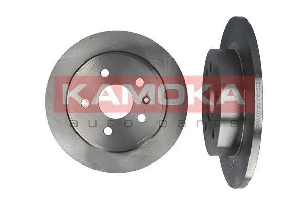 Brake Disc (1031022)