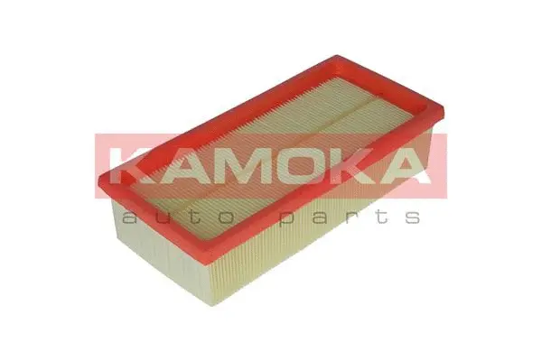 Air Filter (F234901)