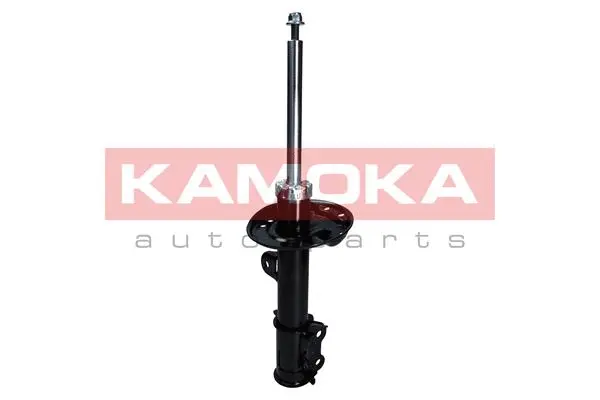 Shock Absorber (2000529)
