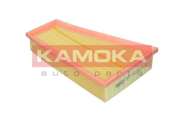 Air Filter (F255901)