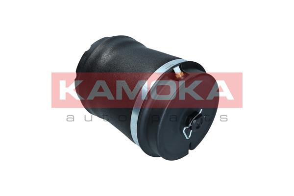 Air Spring, suspension